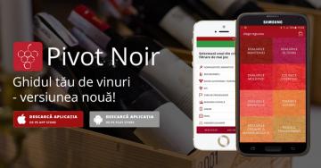 PIVOT NOIR SRL