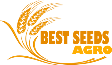 BEST SEEDS AGRO SRL